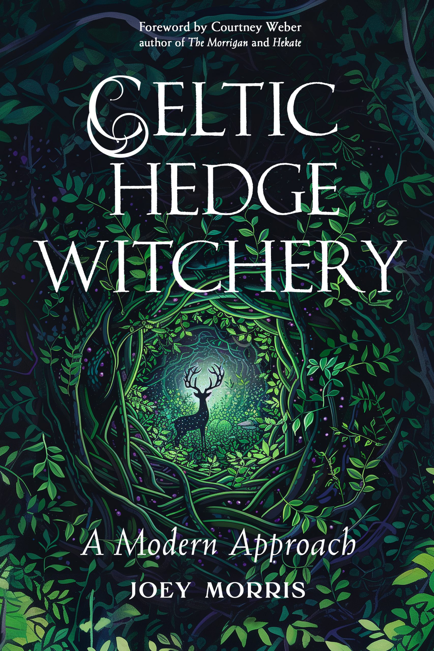 Celtic Hedge Witchery—A Modern Approach