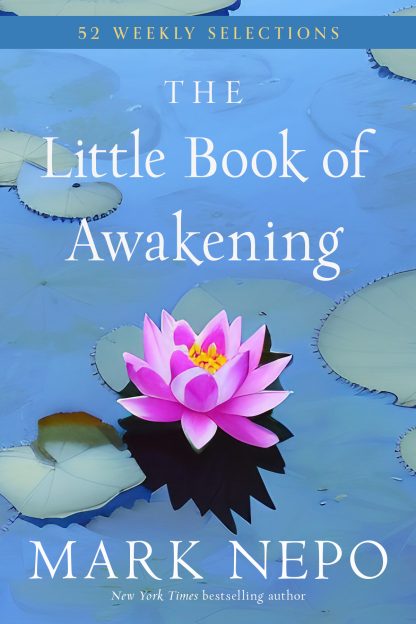 The Little Book of Awakening