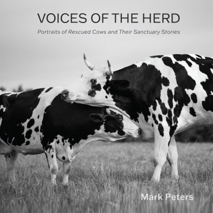 Voices of the Herd